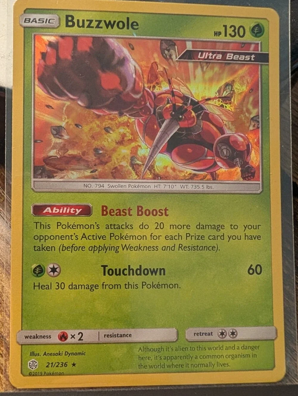 Pokemon Holographic Lot (5 Cards)
